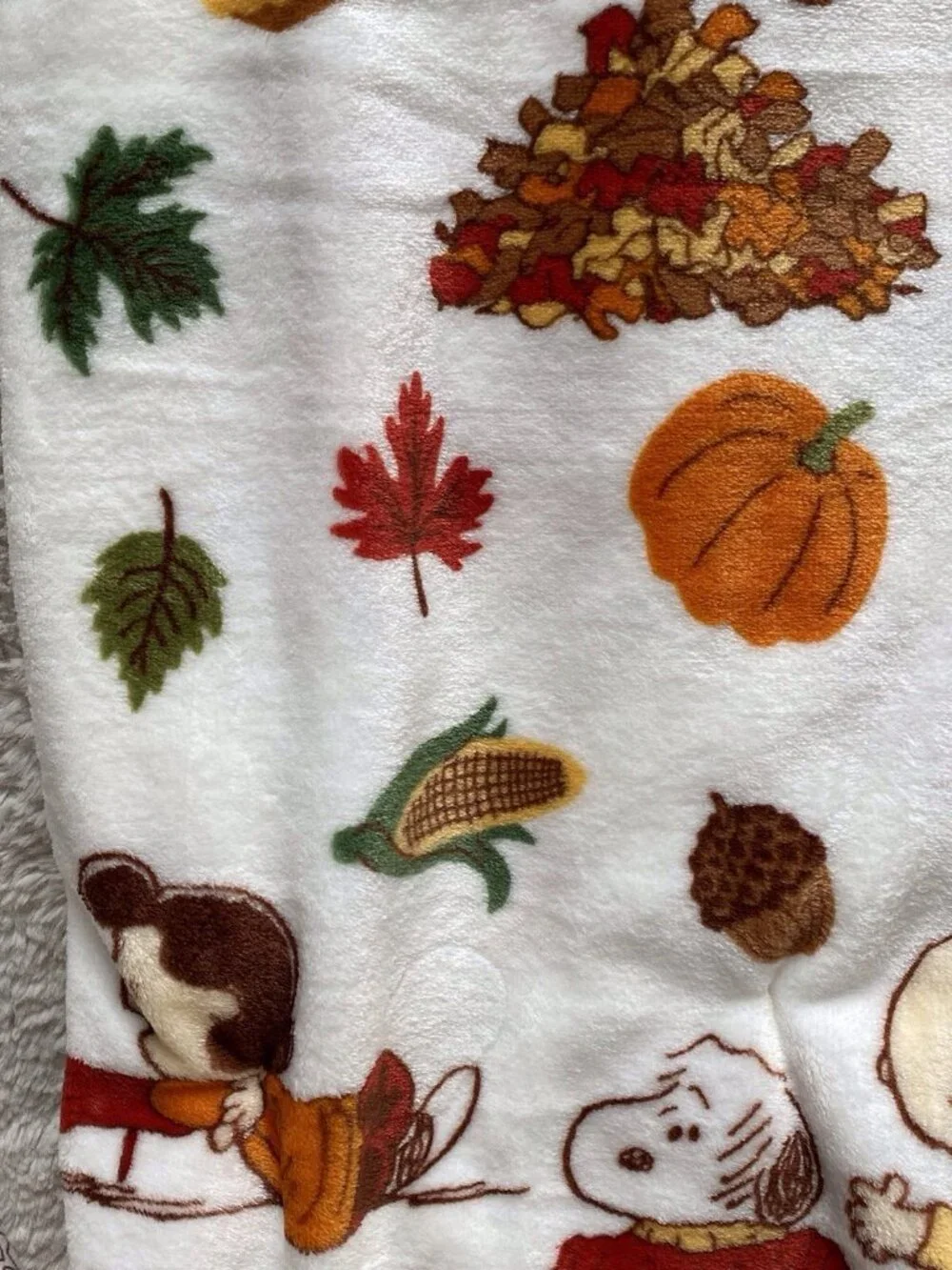 Peanuts Snoopy Fall Autumn Throw Blanket Charlie Lucy Franklin 50” X 70” NEW